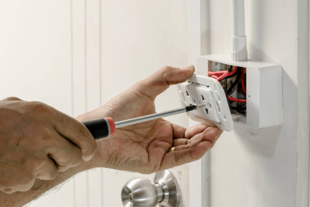 Best Electrical Panel Upgrades  in Morton Grove, IL